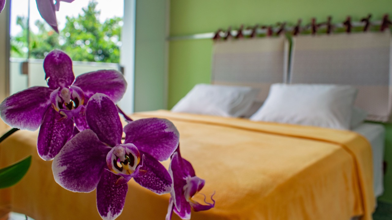 Photo of Bedroom in Tenorio
