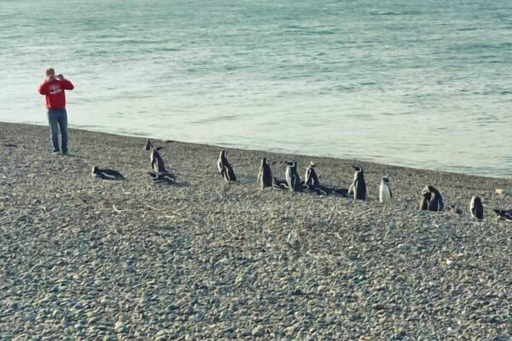Photo of Others in Punta Ninfas