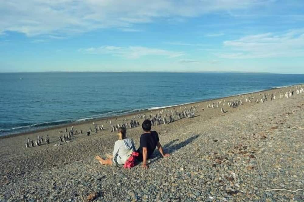 Photo of Others in Punta Ninfas