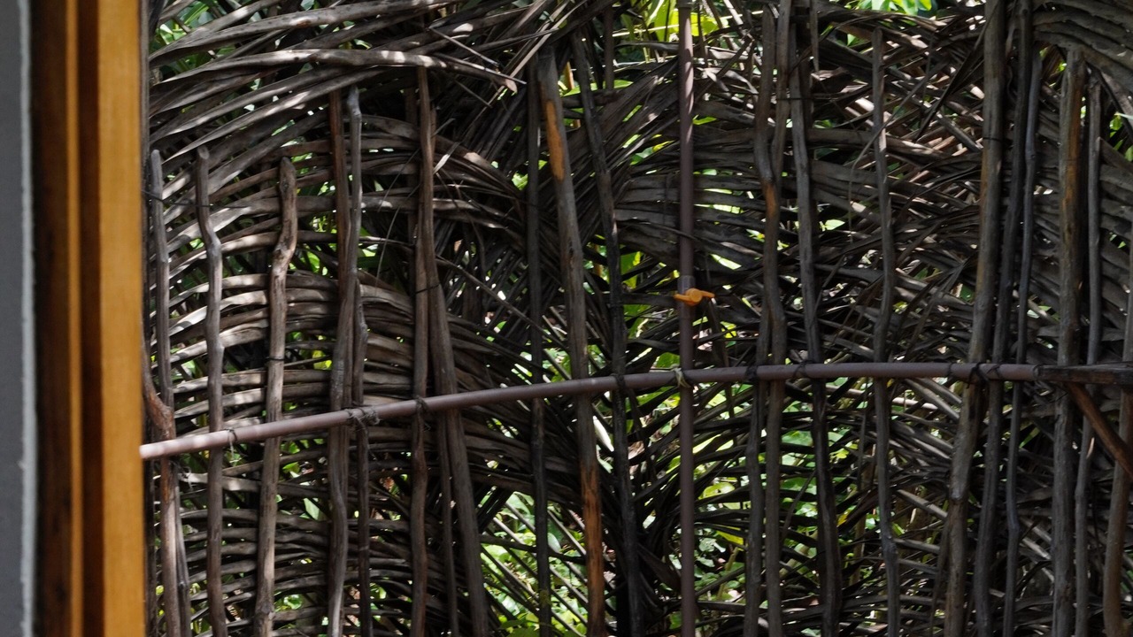 Photo of Outdoor in Baia Formosa