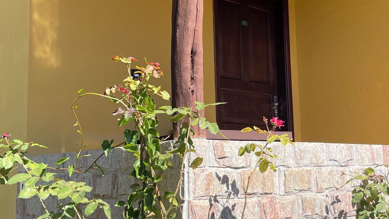 Photo of Outdoor in Maromba