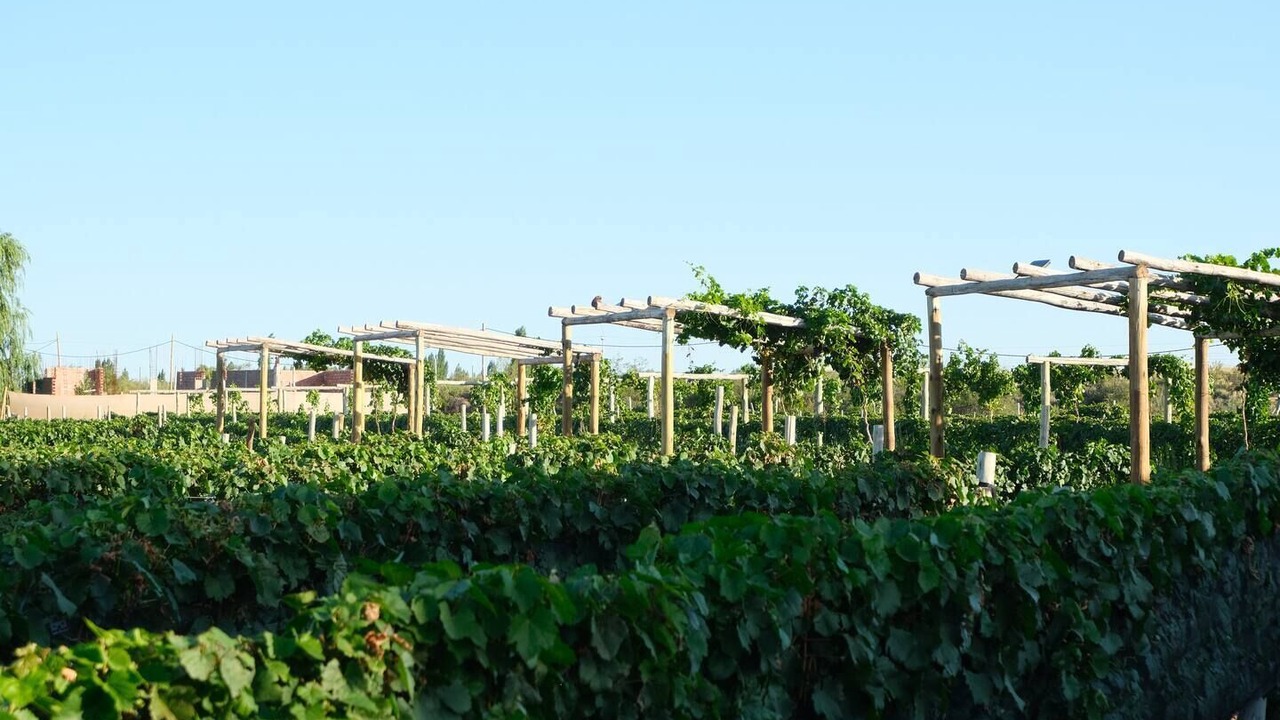 Photo of Patio Balcony in Lujan de Cuyo