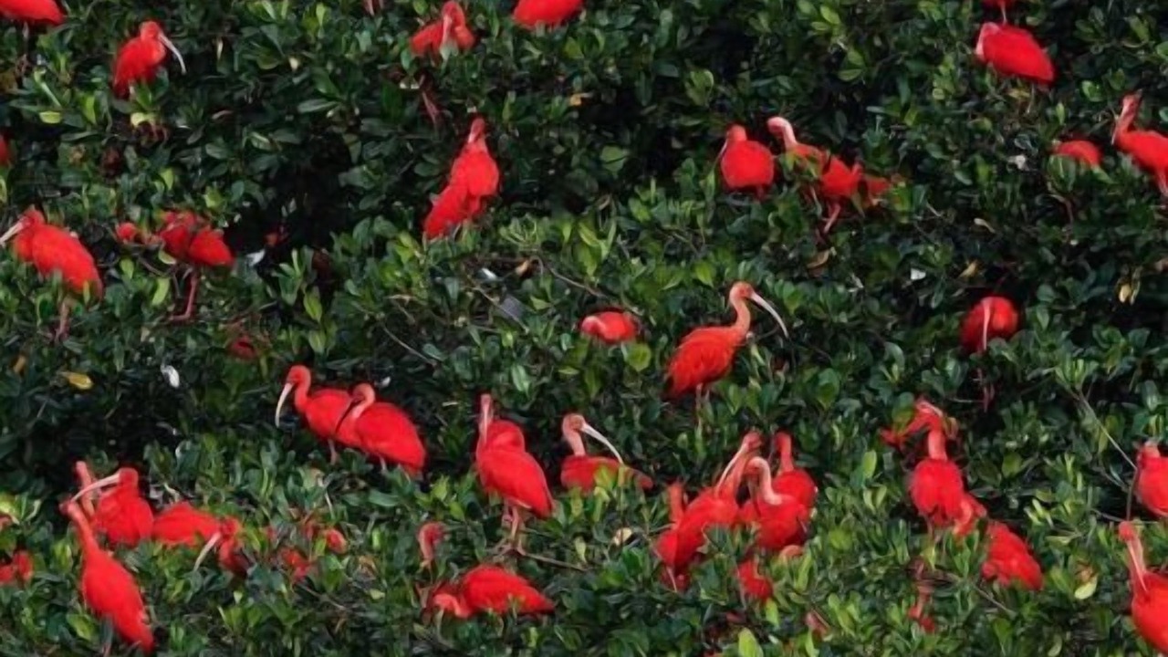 Photo of Others in Tutoia