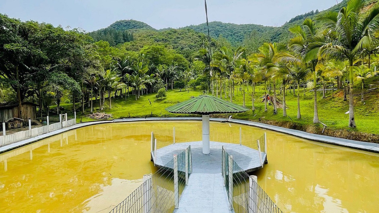Photo of Outdoor in Angelina
