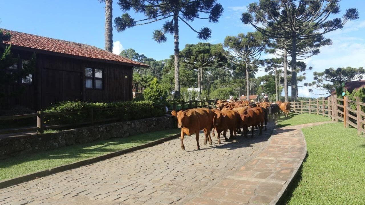 Photo of Others in Lages