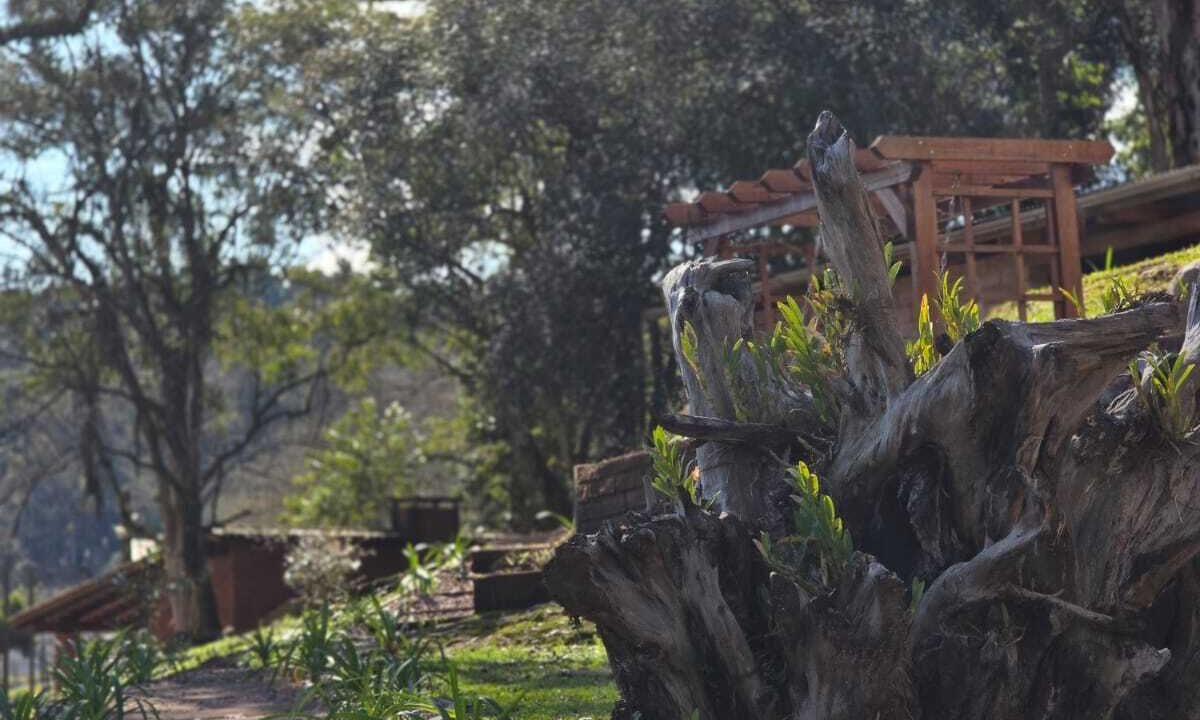 Photo of Outdoor in Municipal
