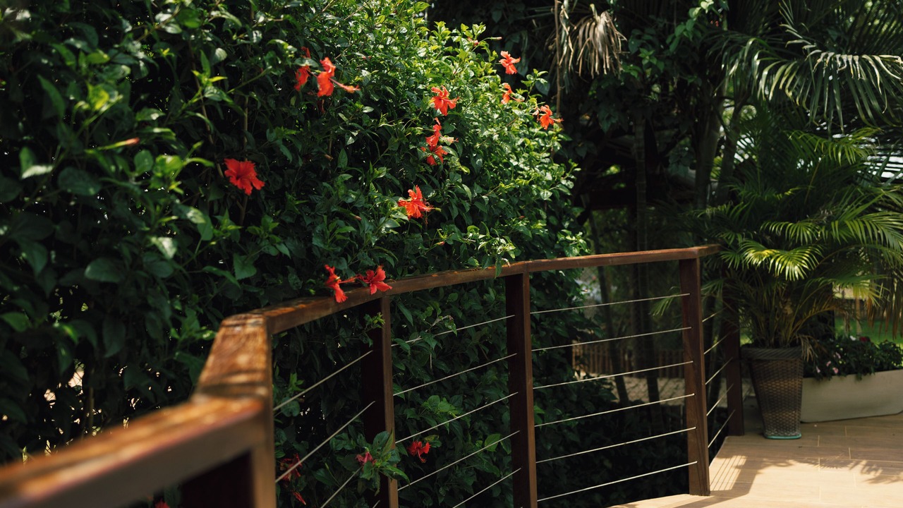 Photo of Outdoor in Setor Lagoa Quente
