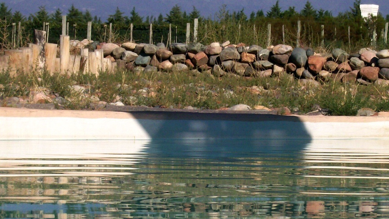 Photo of Outdoor in Tupungato
