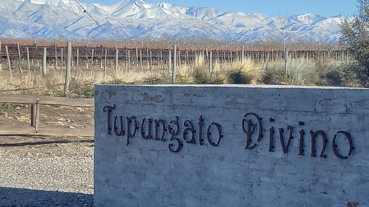 Photo of Others in Tupungato