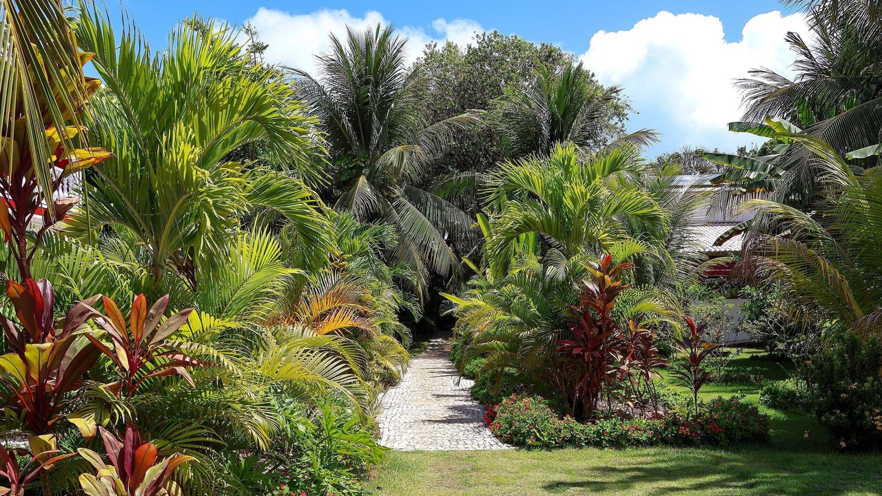 Photo of Outdoor in Tibau do Sul