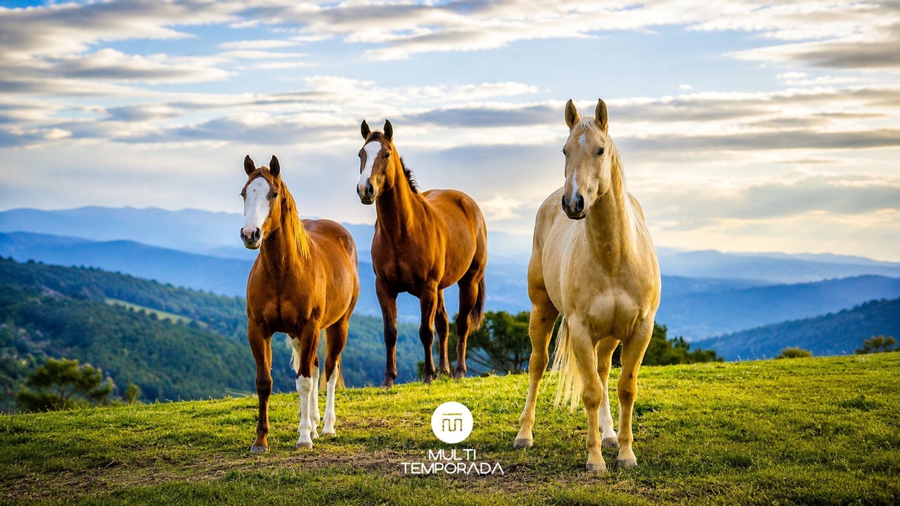 Photo of Others in Rancho Queimado