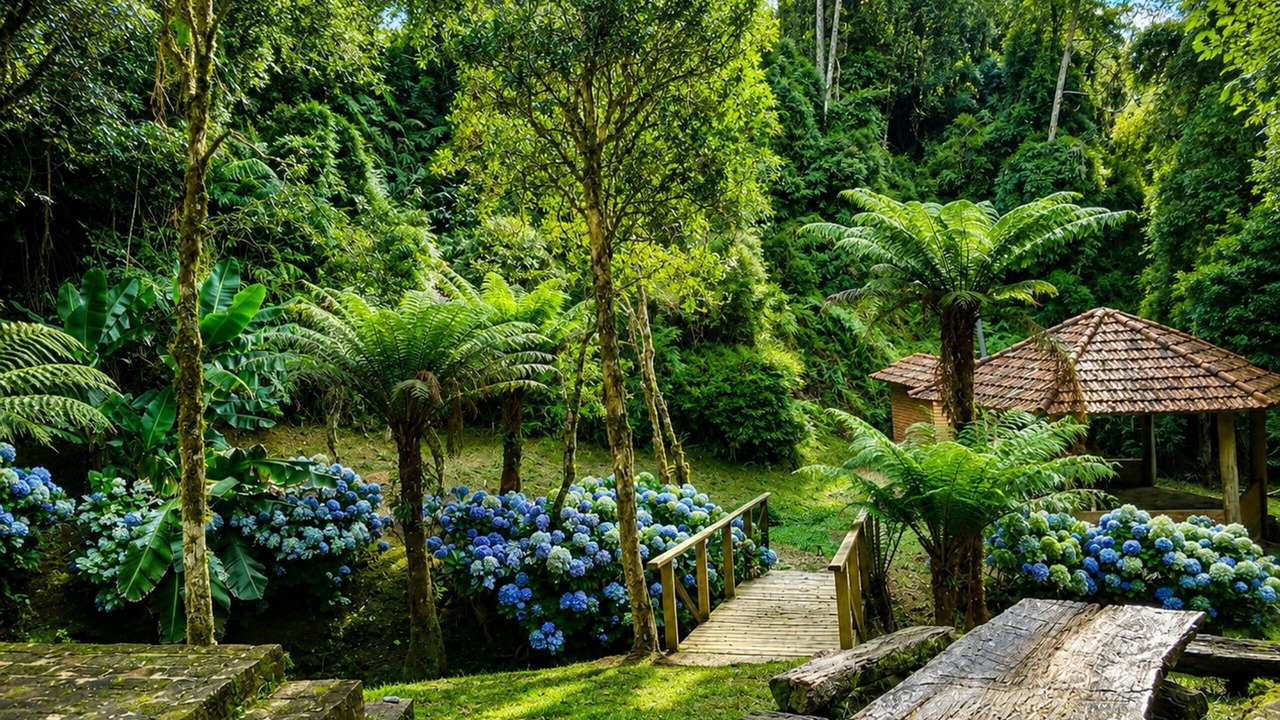 Photo of Outdoor in Rancho Queimado