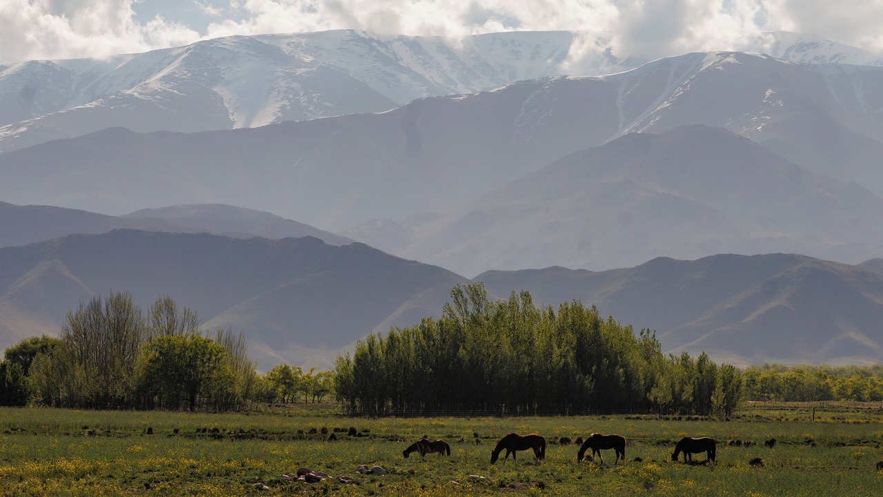 Photo of Others in Tupungato