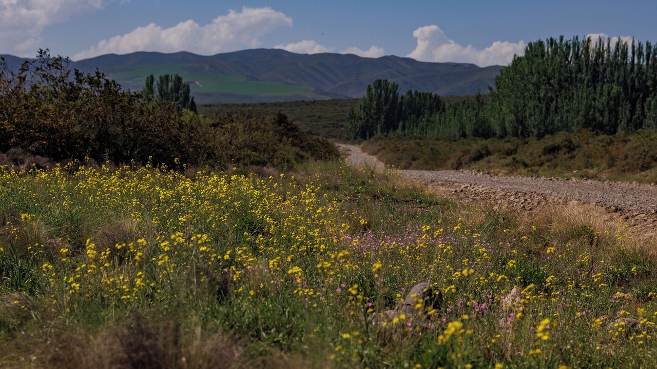 Photo of Others in Tupungato