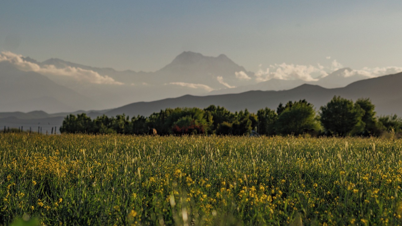Photo of Outdoor in Tupungato