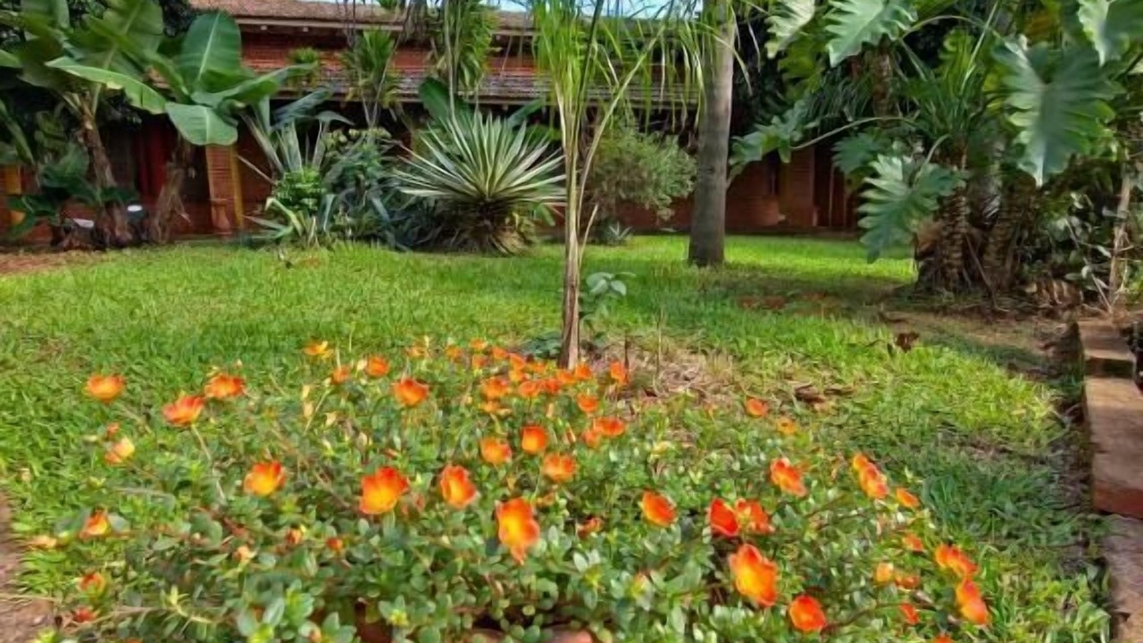 Photo of Outdoor in Puerto Esperanza