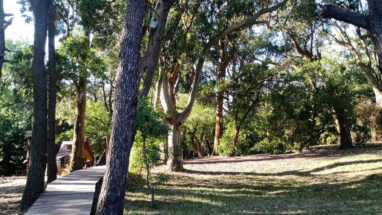 Photo of Outdoor in Villa Gesell