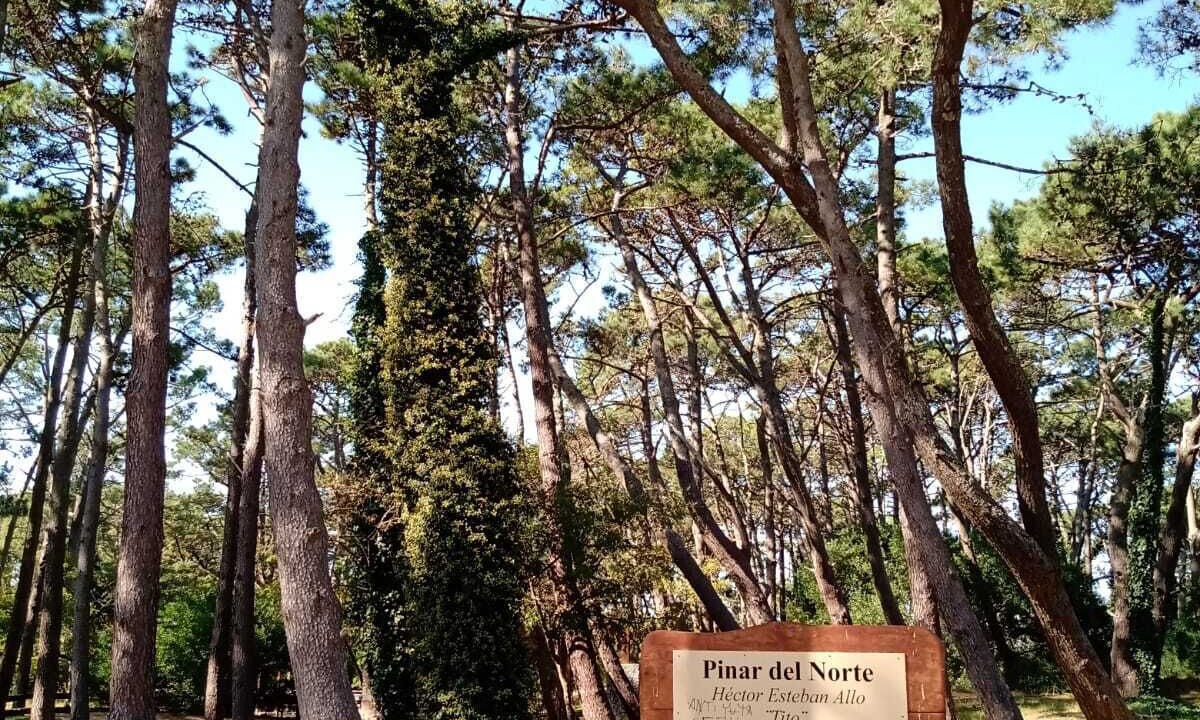 Photo of Outdoor in Villa Gesell