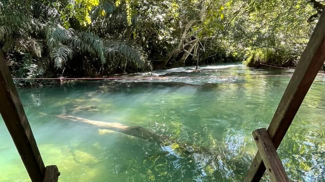 Photo of Others in Bonito