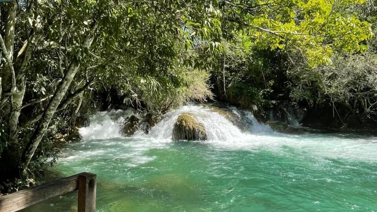 Photo of Others in Bonito