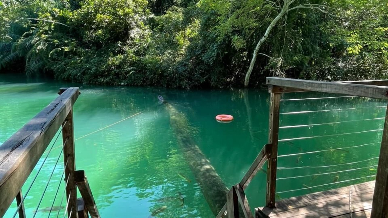 Photo of Others in Bonito