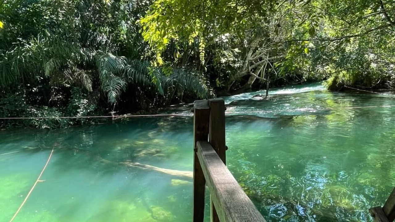 Photo of Others in Bonito