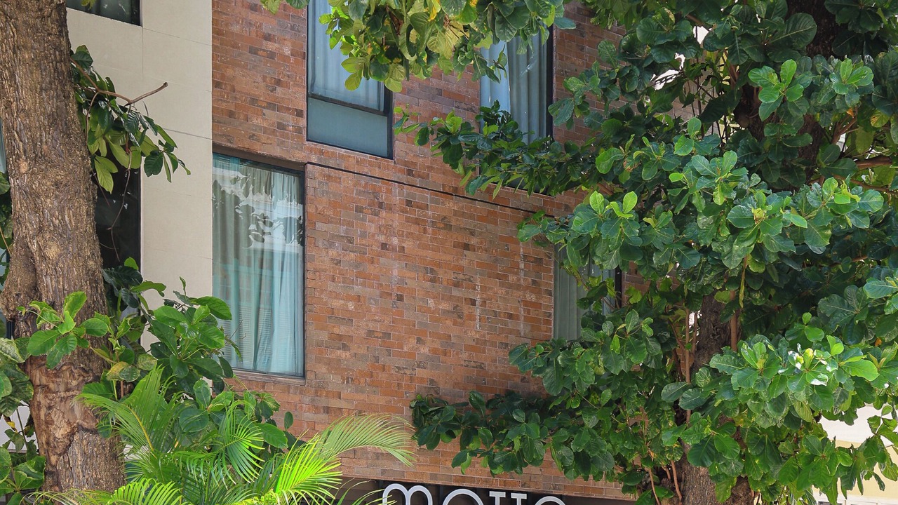 Photo of Outdoor in Recife Antigo