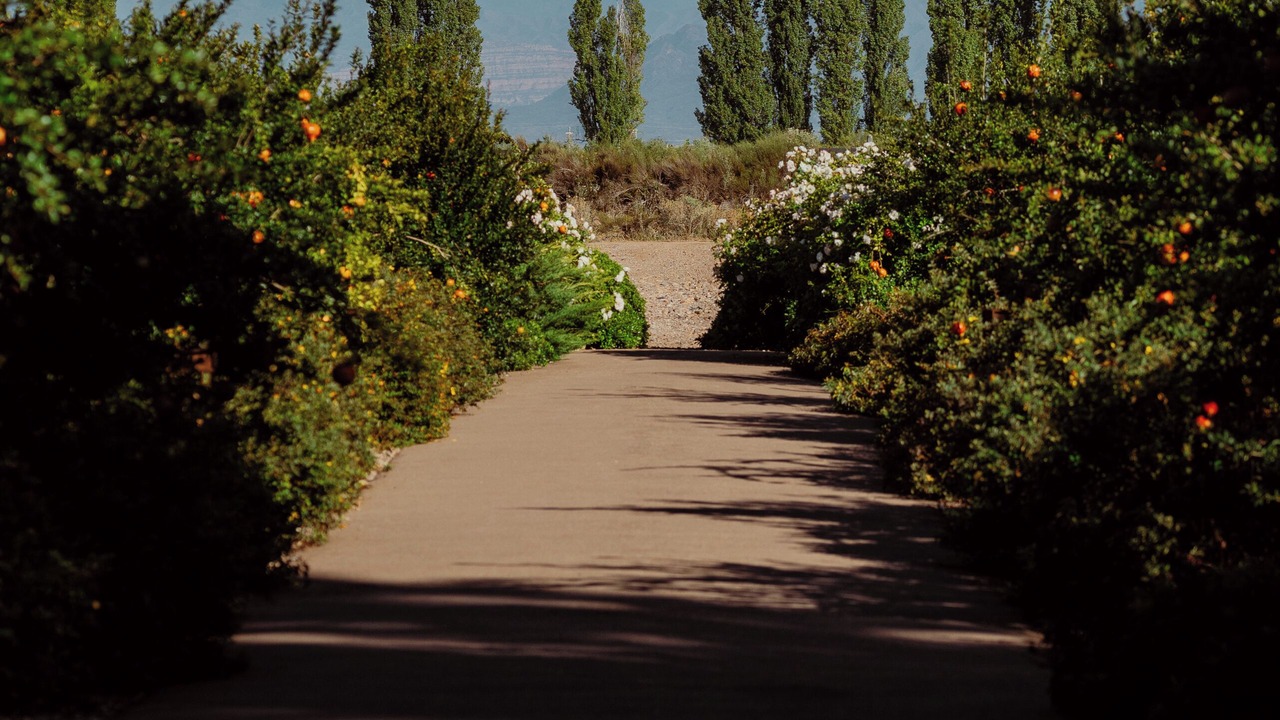 Photo of Outdoor in Lujan de Cuyo
