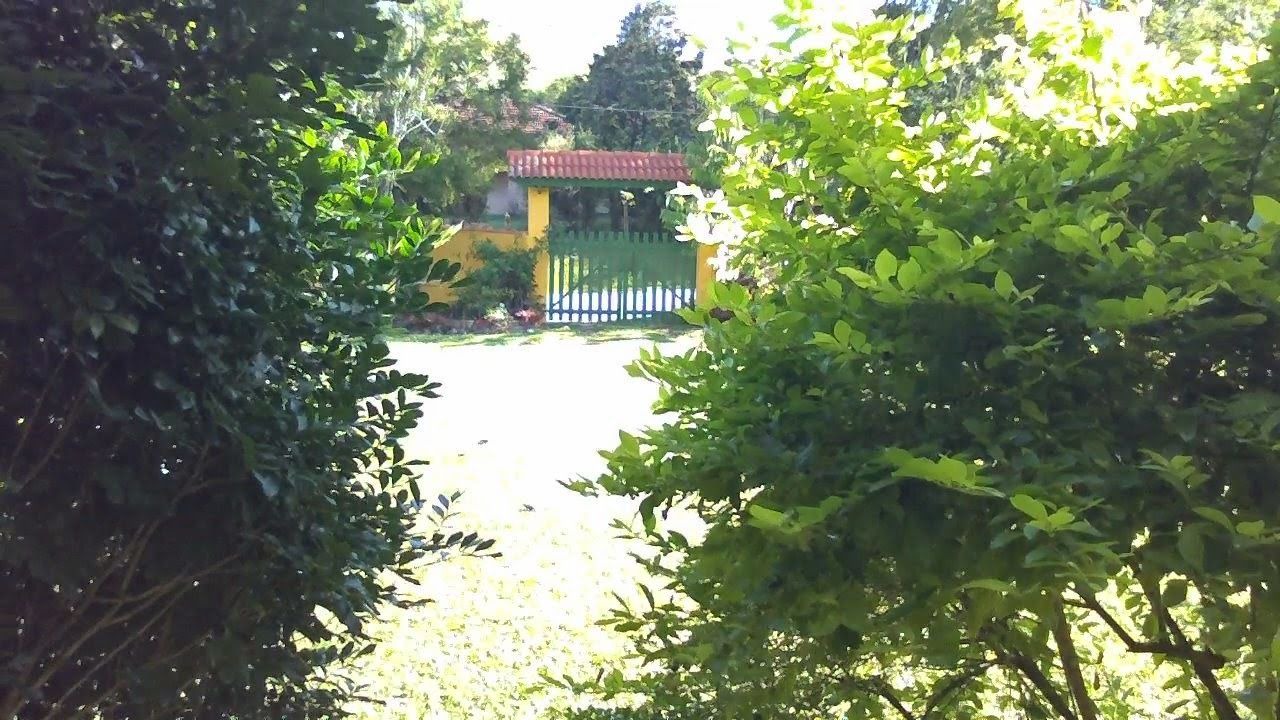 Photo of Outdoor in Piracuama