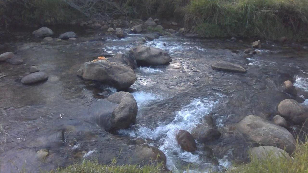 Photo of Outdoor in Piracuama