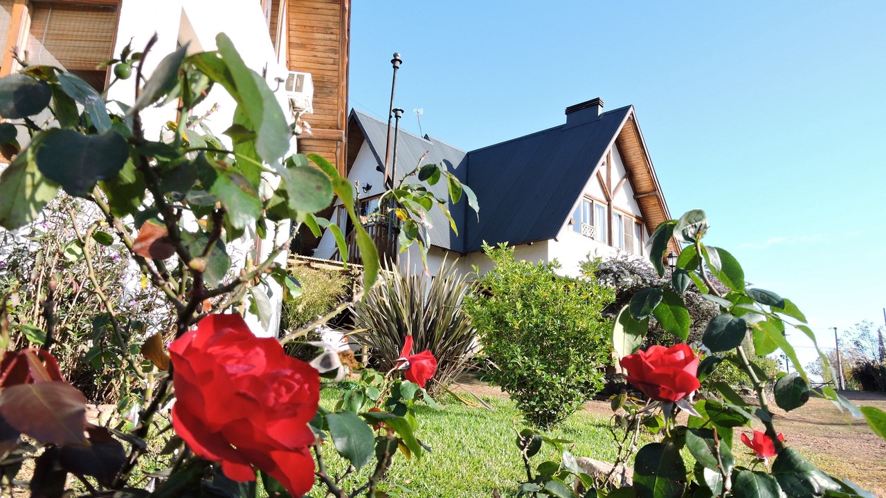 Photo of Outdoor in Colon