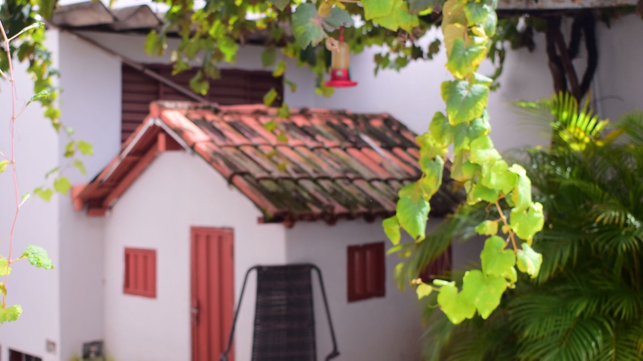 Photo of Outdoor in Jardim Paraiso