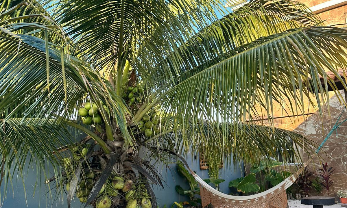 Photo of Outdoor in Porto Seguro