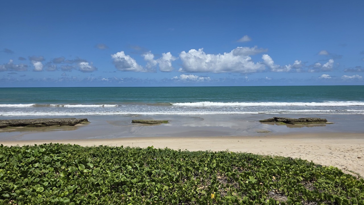 Photo of Others in Praia dos Carneiros