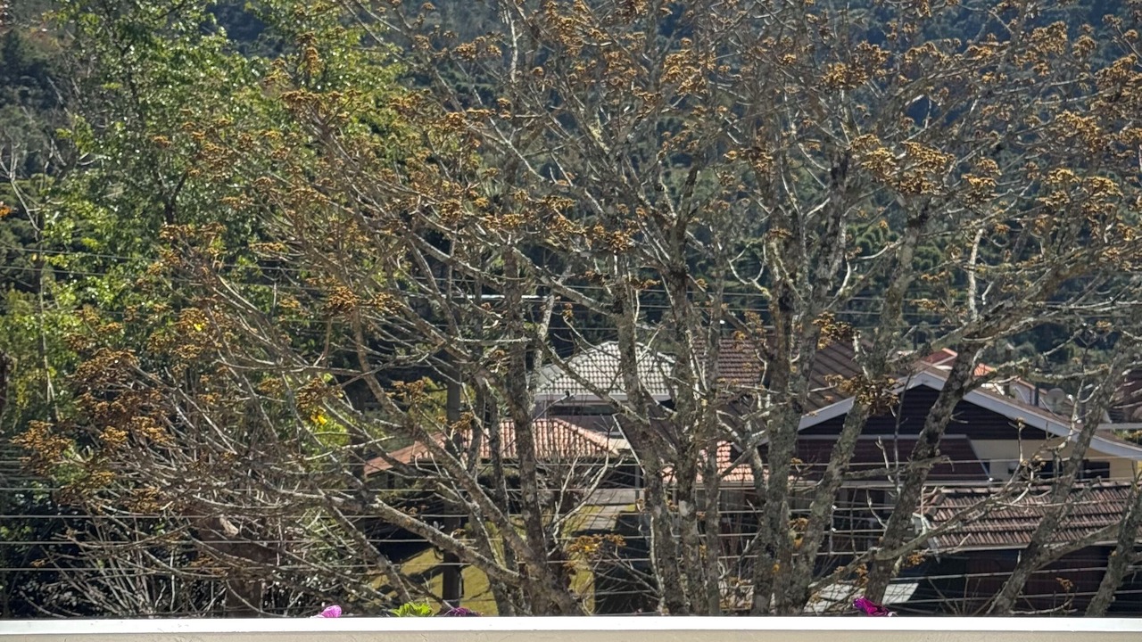 Photo of Patio Balcony in Jardim Nova Suica