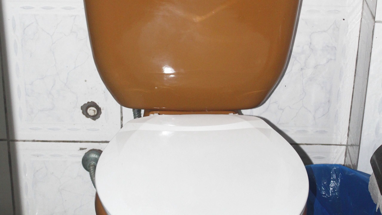 Photo of Bathroom in Amazon River