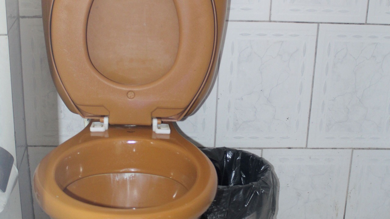 Photo of Bathroom in Amazon River