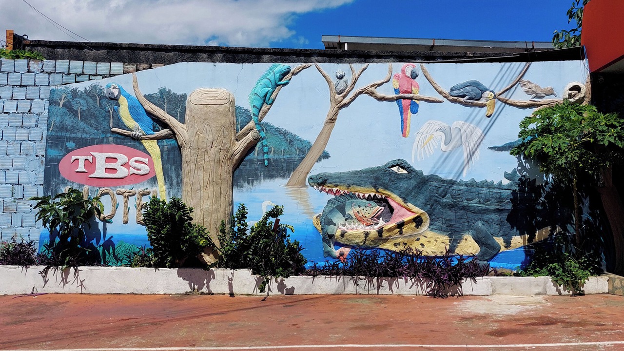 Photo of Outdoor in Amazon River