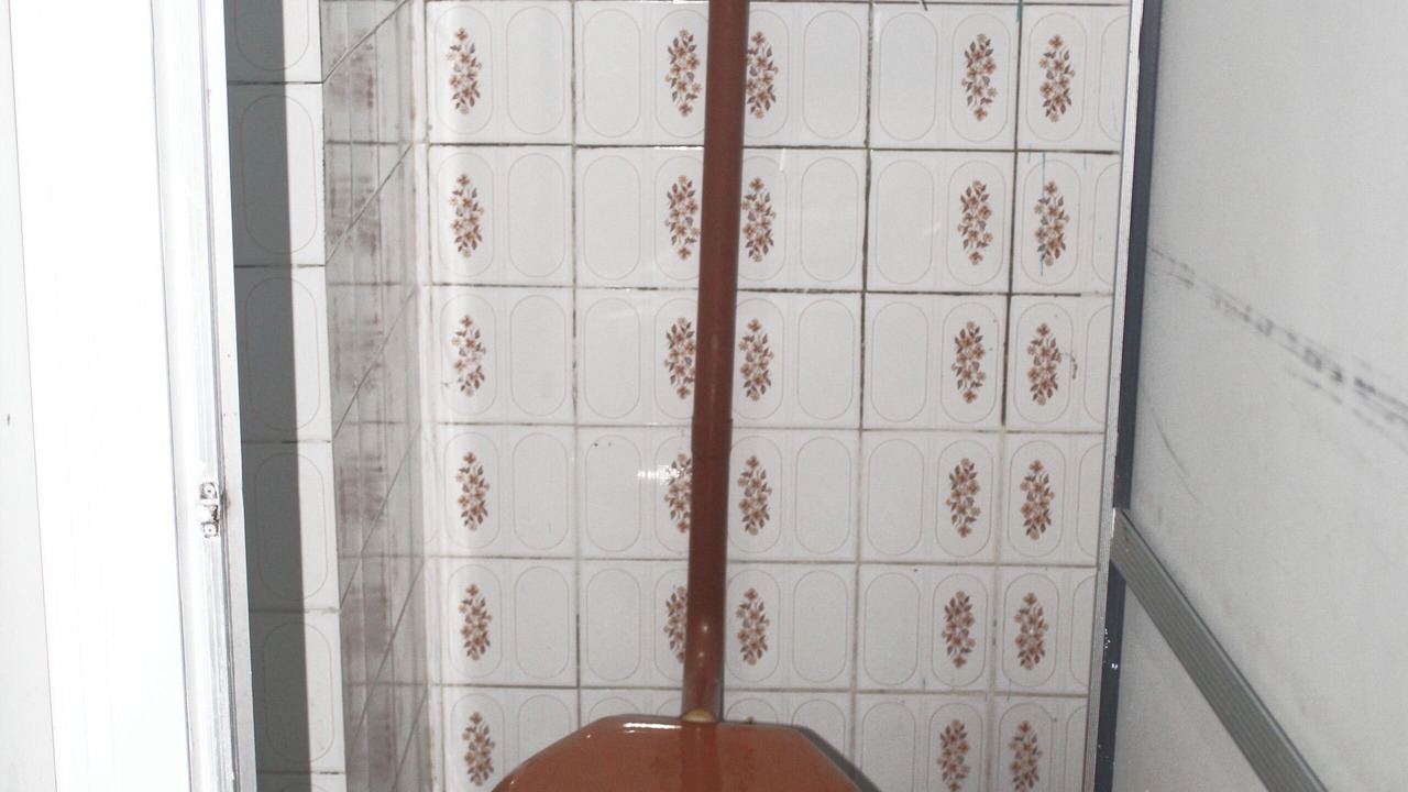 Photo of Bathroom in Amazon River