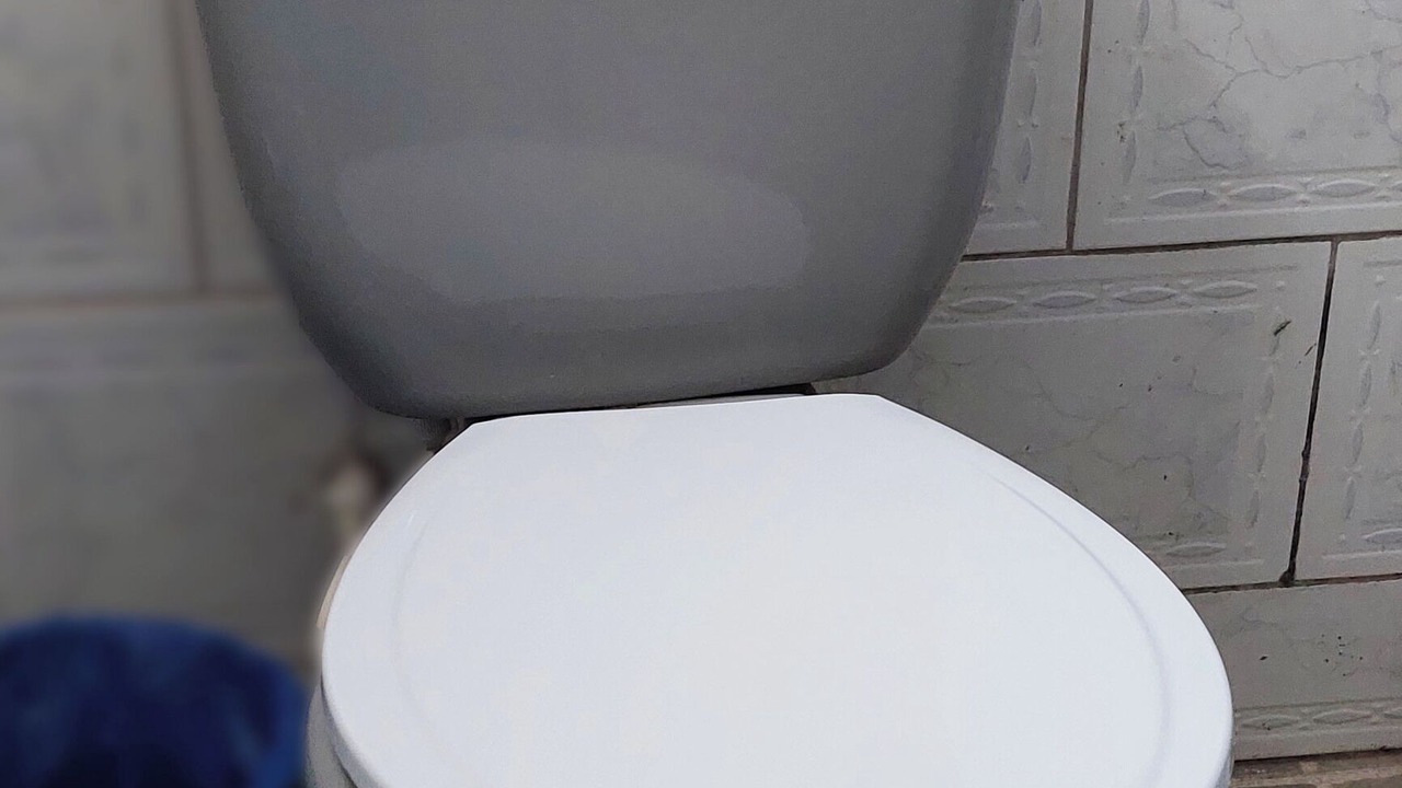 Photo of Bathroom in Amazon River