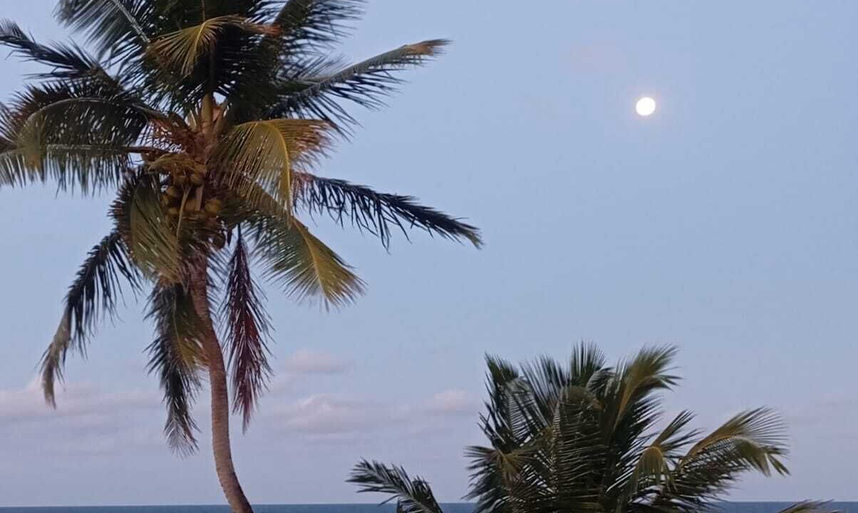 Photo of Others in Porto de Galinhas