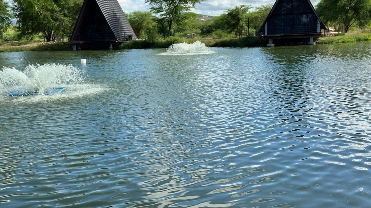 Photo of Outdoor in Piranhas