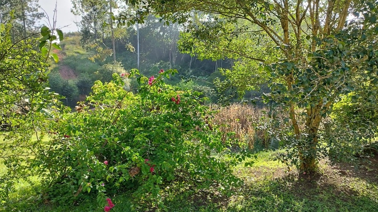 Photo of Others in Itapevi