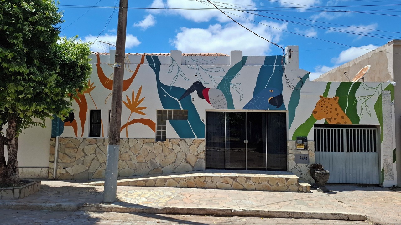 Photo of Outdoor in Visconde de Taunay