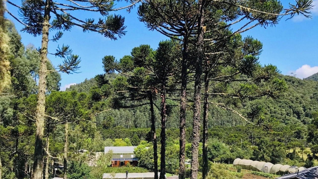 Photo of Outdoor in Urubici