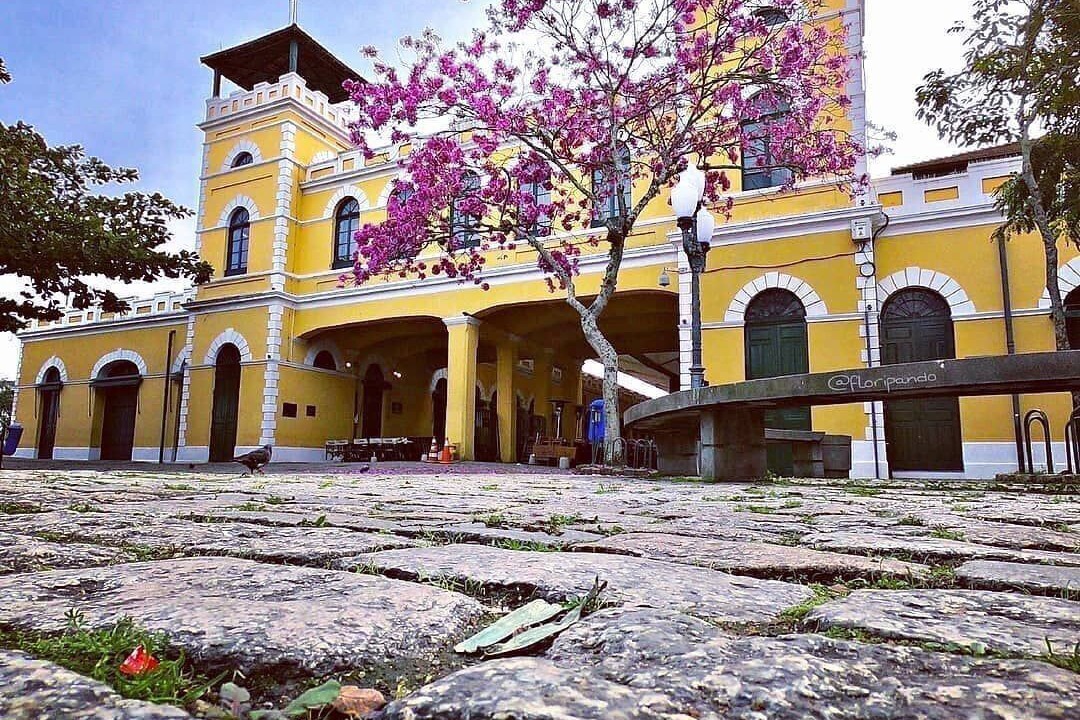 Photo of Others in Capoeiras