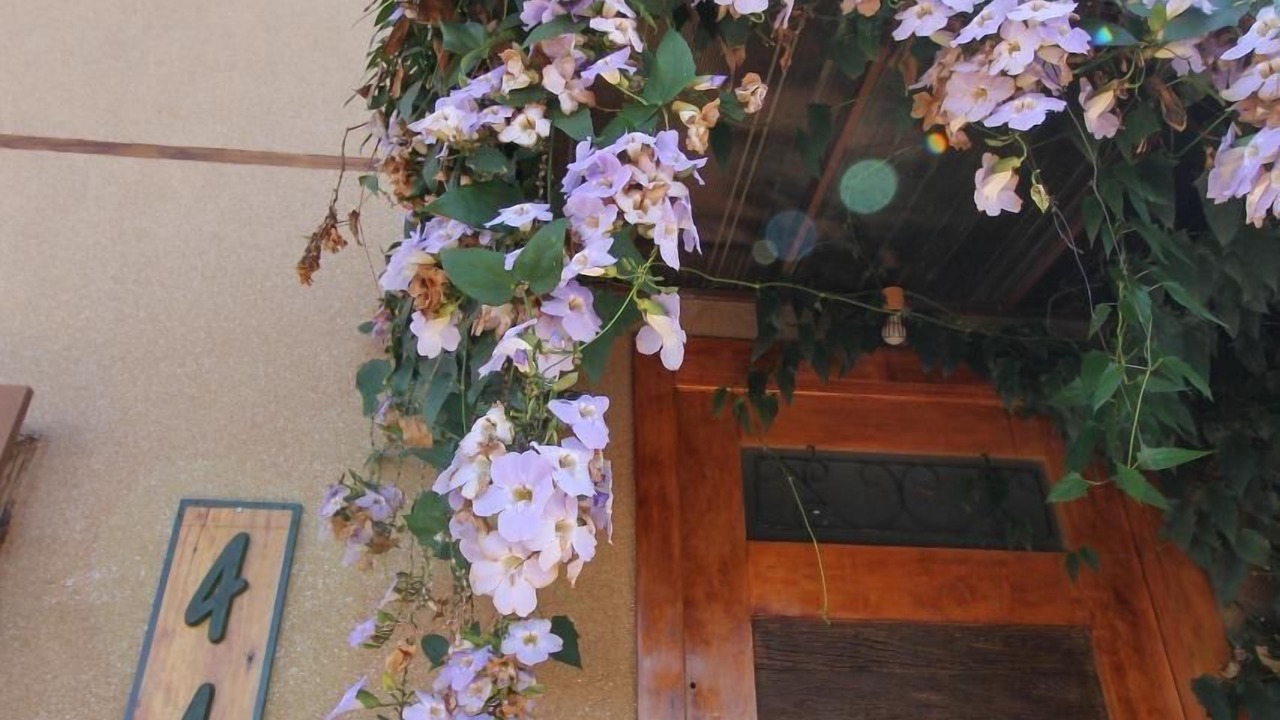 Photo of Outdoor in Olimpia