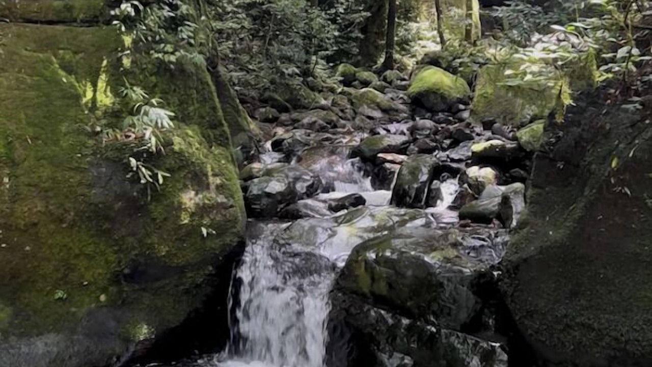 Photo of Outdoor in Alfredo Wagner