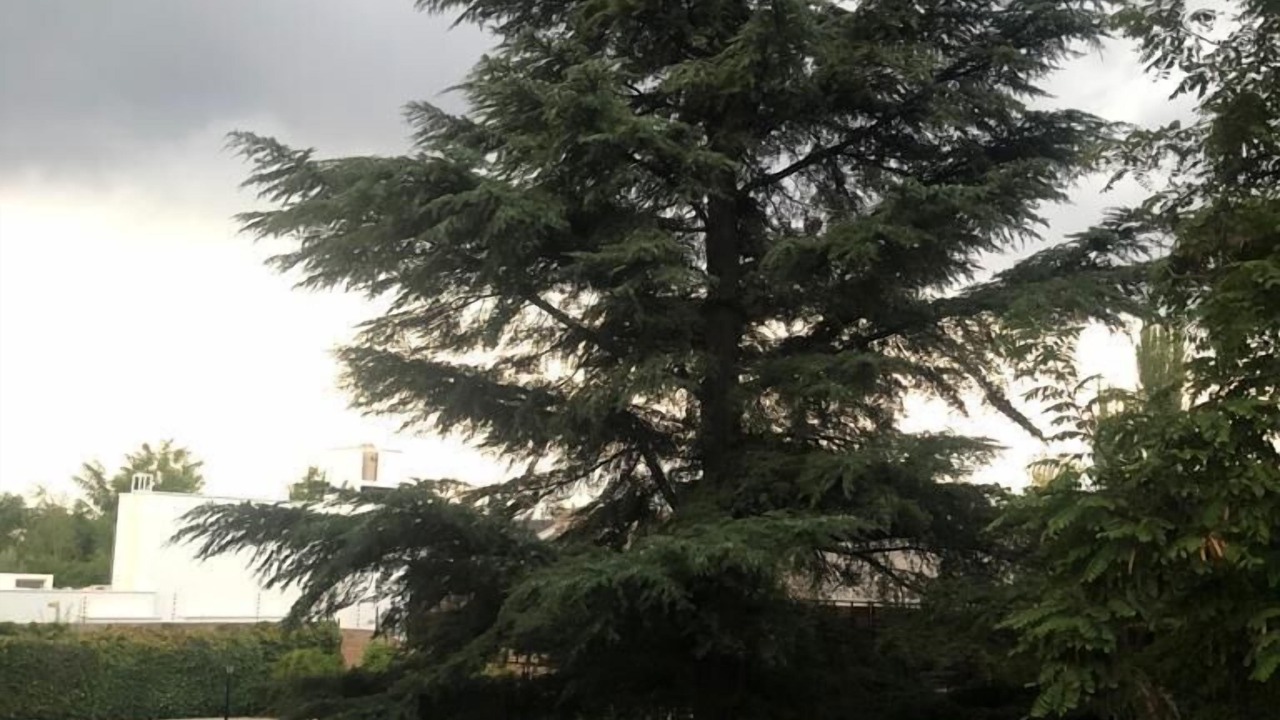 Photo of Outdoor in Chacras de Coria