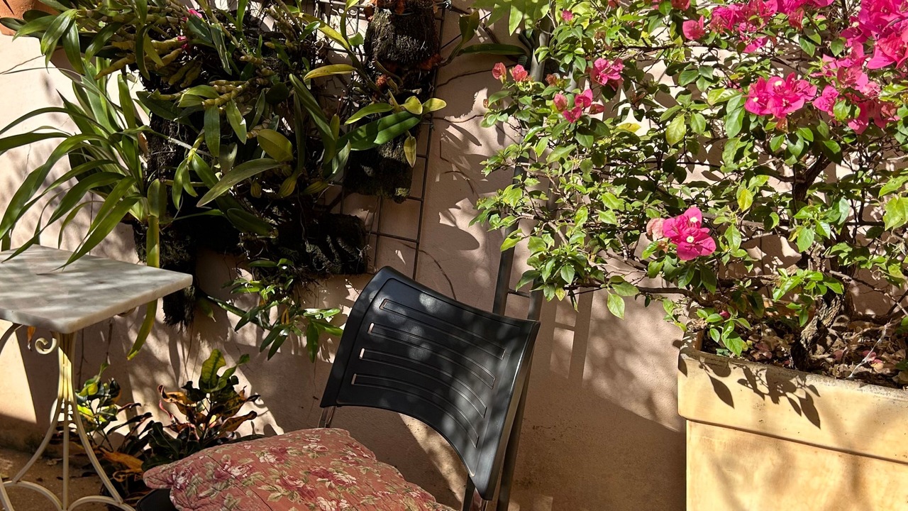 Photo of Outdoor in Franca